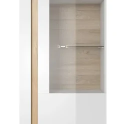 Armoire Vitrine ARCO 72 LED -Pas Cher Vidaxl Magasin 09bc5804a9d5453aa609a2bc5b500182.cropped 425 520 2305 3765.processed