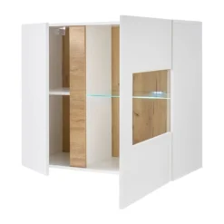 Vitrine Murale Cailla -Pas Cher Vidaxl Magasin 1000223891 200828 15375300007 DETAILS P000000001000223891