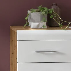 Meuble D’entrée Liffre -Pas Cher Vidaxl Magasin 1000237336 201230 13112900009 DETAILS P000000001000237336