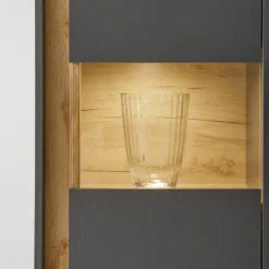 Vitrine Olon -Pas Cher Vidaxl Magasin 1000260645 210420 07401900055 DETAILS P000000001000260645