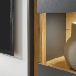 Vitrine Olon -Pas Cher Vidaxl Magasin 1000260645 210420 07402000056 DETAILS P000000001000260645