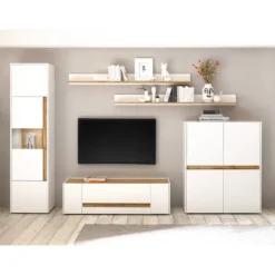 Vitrine Olon -Pas Cher Vidaxl Magasin 1000261789 210423 14383000016 MOOD DETAILS P000000001000261789 mood