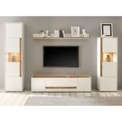 Vitrine Olon -Pas Cher Vidaxl Magasin 1000261789 210423 14383100017 MOOD DETAILS P000000001000261789 mood