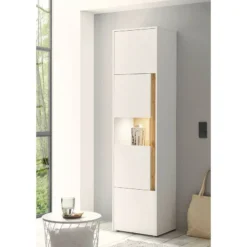 Vitrine Olon -Pas Cher Vidaxl Magasin 1000261789 210423 14383200018 MOOD DETAILS P000000001000261789 mood