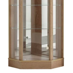 Vitrine D’angle Loroux -Pas Cher Vidaxl Magasin 1000357370 220609 031 DETAILS P000000001000357370