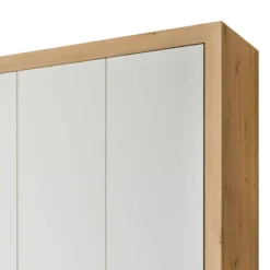 Armoire Tholen -Pas Cher Vidaxl Magasin 1000360544 220819 070 DETAILS P000000001000360544