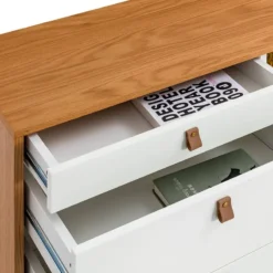 Buffet Seoni 1 Porte -Pas Cher Vidaxl Magasin 1000378197 230816 055 DETAILS P000000001000378197