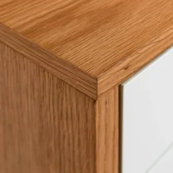 Buffet Seoni 1 Porte -Pas Cher Vidaxl Magasin 1000378197 230816 065 DETAILS P000000001000378197