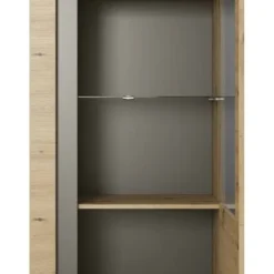 Armoire Vitrine ARCO 72 LED -Pas Cher Vidaxl Magasin 175f0824f1ca4c87aa1be06c496e465a.cropped 545 300 2247 4281.processed