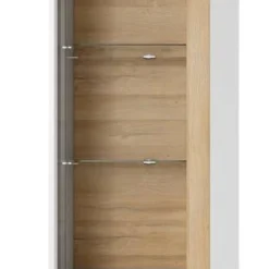 Armoire Vitrine ARCO 60W LED -Pas Cher Vidaxl Magasin 39bb66159d0a4688bbe4dc444e5fafa3.cropped 248 234 2019 5181.processed