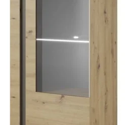 Armoire Vitrine ARCO 72 LED -Pas Cher Vidaxl Magasin 9c4fd31093ae4a028869c518ab9a010e.cropped 410 269 1655 3095.processed