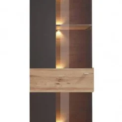 Colonne Vitrine 1 Porte Ouverture Gauche 7 Colonne Vitrine 1 Porte Ouverture Gauche -Pas Cher Vidaxl Magasin a2719486a06846c18d5f66c3ba2677b1.cropped 202 38 367 711.processed