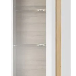 Armoire Vitrine ARCO 60W LED -Pas Cher Vidaxl Magasin ad0130b0d5e64749bd459851b1fa950b.cropped 437 506 1727 4743.processed
