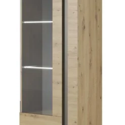 Armoire Vitrine ARCO 60W LED -Pas Cher Vidaxl Magasin ad2ed0438f2c44e58dd0eee2ce01e3e3.cropped 391 306 1890 3762.processed