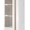 Armoire Vitrine ARCO 60W LED