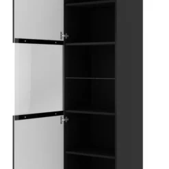 Armoire Vitrine RavennaB 60x42x215 -Pas Cher Vidaxl Magasin f634a8e2385245ccbc7153a947817fe5.cropped 73 156 2374 3946.processed
