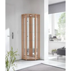 Vitrine D'angle Amalia I -Pas Cher Vidaxl Magasin fif vitrinen led 18 05 2017 4922060