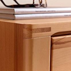 Vitrine NatureStar 7 Vitrine NatureStar -Pas Cher Vidaxl Magasin standvitine rechts naturestar kernbuche teilmassiv 1427560