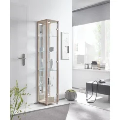 Vitrine Exhibit I -Pas Cher Vidaxl Magasin vitrine exhibit i mit spiegelrueckwand 4921316