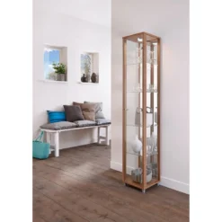 Vitrine Exhibit I -Pas Cher Vidaxl Magasin vitrine exhibit i mit spiegelrueckwand 4921332