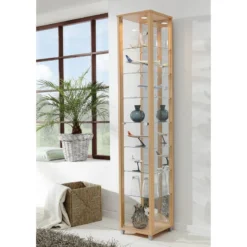 Vitrine Exhibit II -Pas Cher Vidaxl Magasin vitrine exhibit i mit spiegelrueckwand 4921516